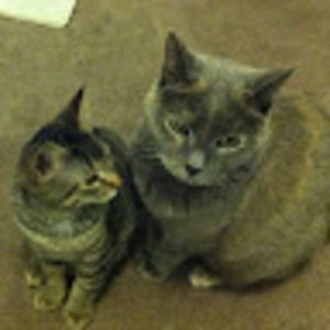 Meet your Posher, Justin